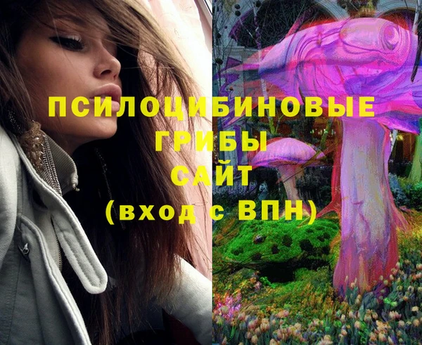 ECSTASY Абаза