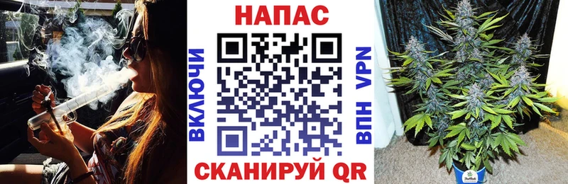 МЕГА как войти  Петров Вал  Марихуана Amnesia 